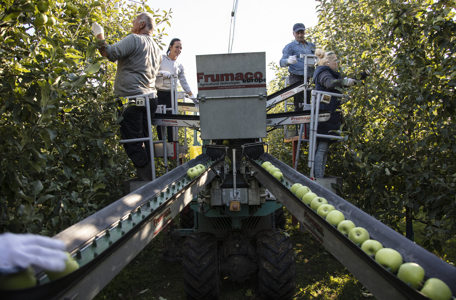 agriculture-image