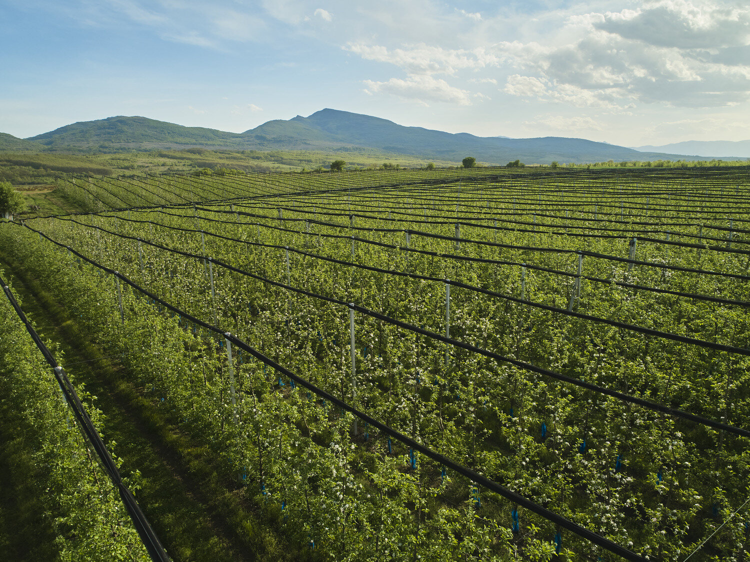 agriculture-image